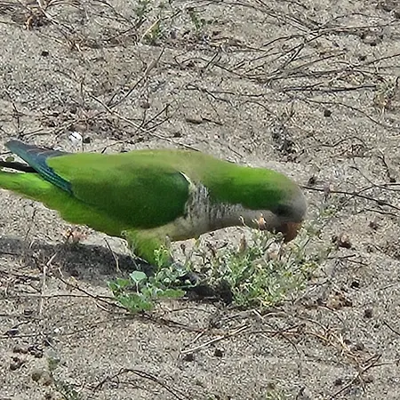 Casa De Almano - Direct On Torremolinos