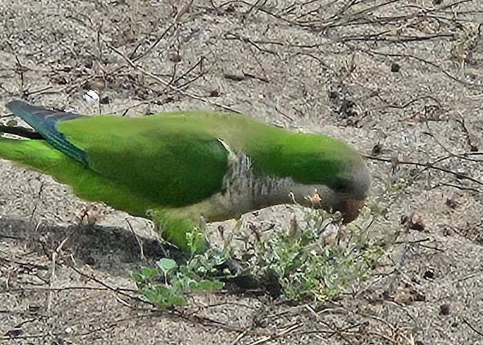 Casa De Almano - Direct On Торремолинос